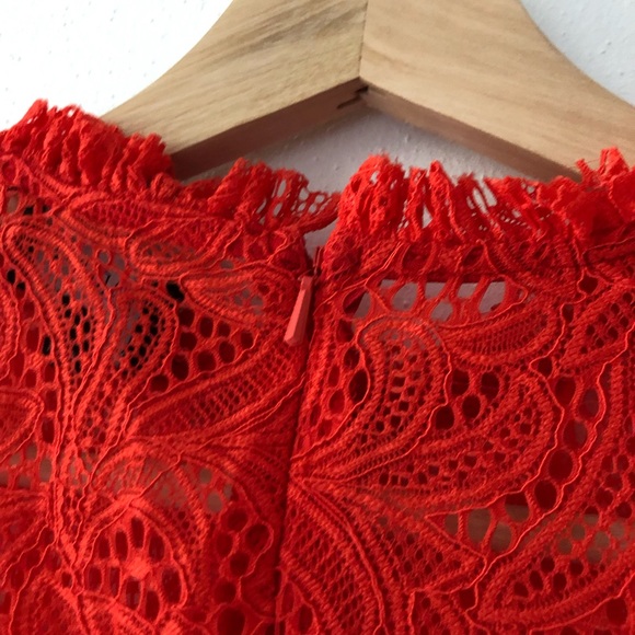 Bardot Lace Long Sleeve Dress - Picture 7 of 7